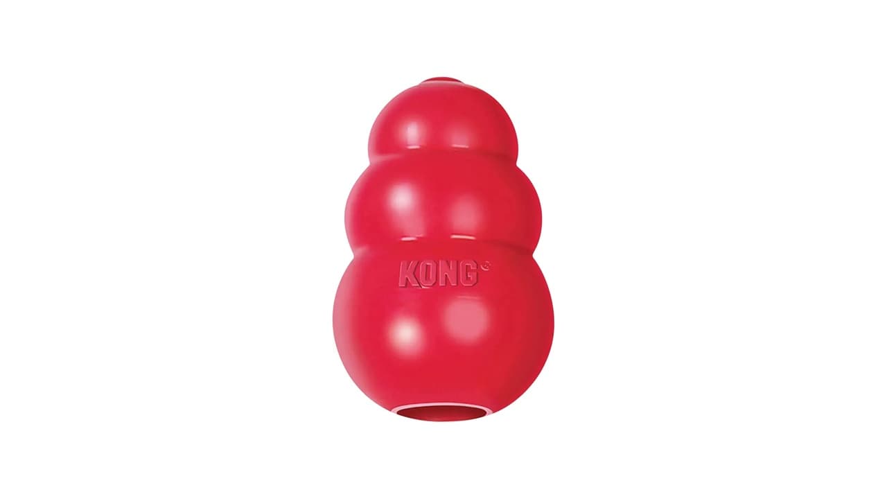 Qual o Melhor Brinquedo Kong para Cães? 10 Opções Testadas