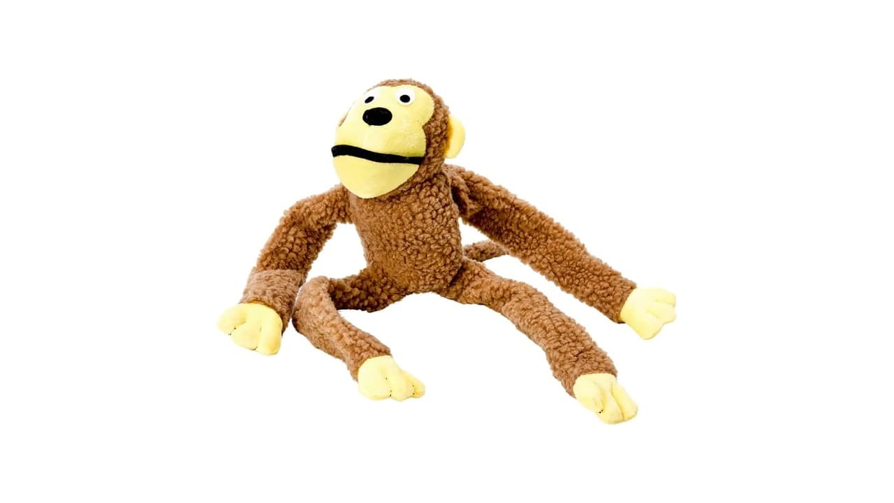 Qual o Melhor Brinquedo para Cachorro? 10 Opções Testadas e Aprovadas!
