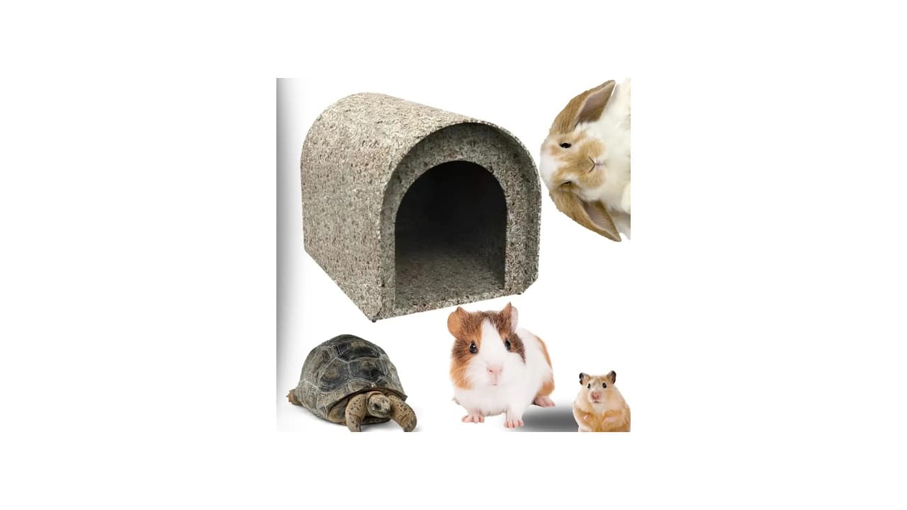 Qual a Melhor Casinha para Coelho? 9 Modelos Ecológicos e Funcionais Testados