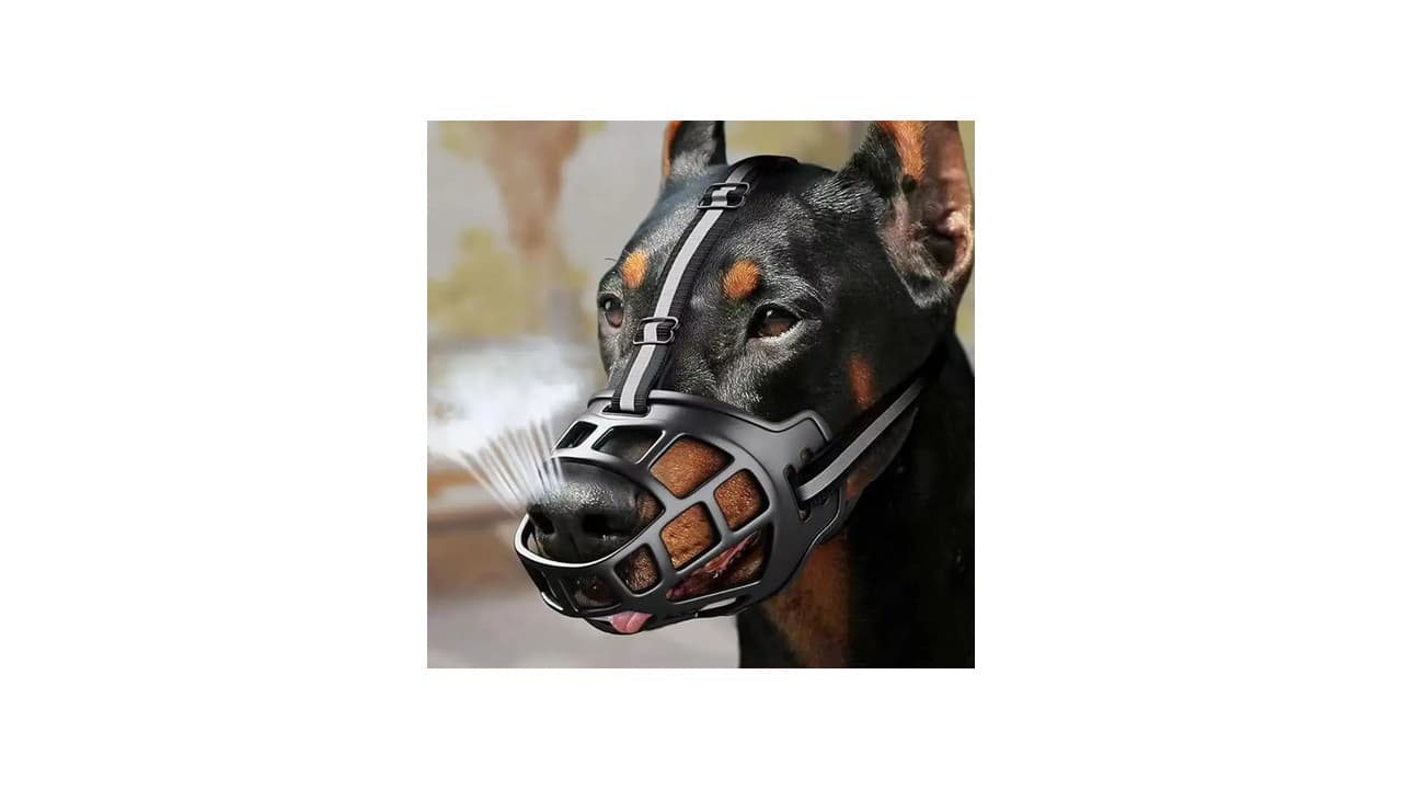 Qual a Melhor Focinheira para Cachorro? Confira 7 Modelos Seguros e Confortáveis