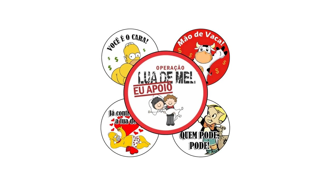 Qual o Melhor Adesivo para Gravataí? Confira 4 Modelos Exclusivos