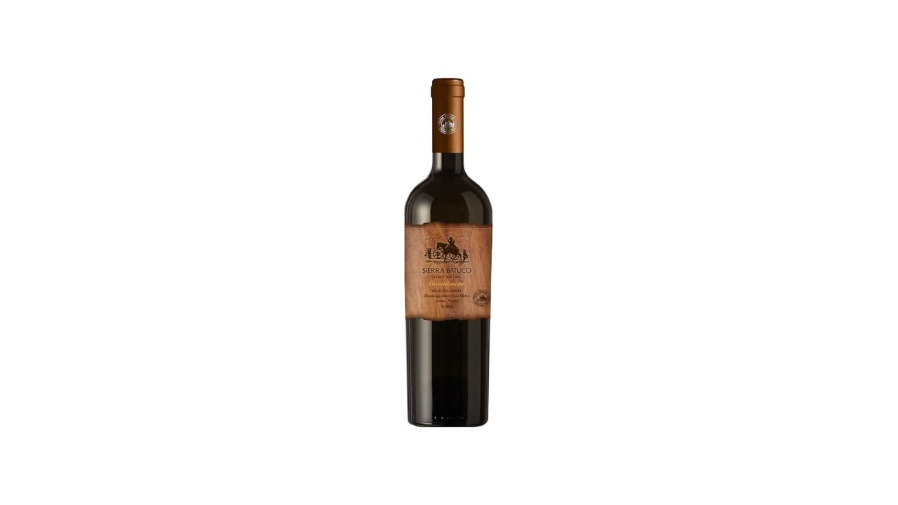 Qual Melhor Marca de Vinho Tinto Seco? Top 10 Vinhos Testados