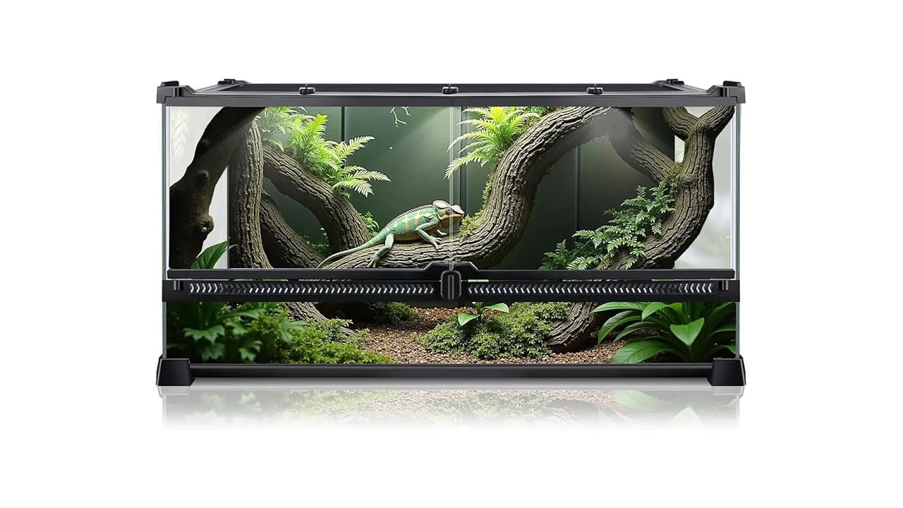 Qual o Melhor Terrário para Cobra? 7 Modelos Testados e Recomendados