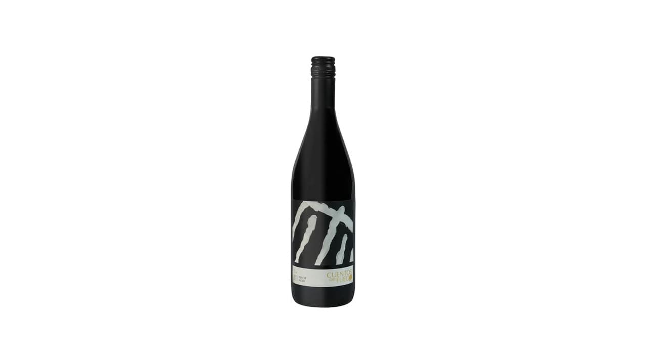 Qual Melhor Uva para Vinho Chileno? 10 Vinhos Testados e Escolhidos!