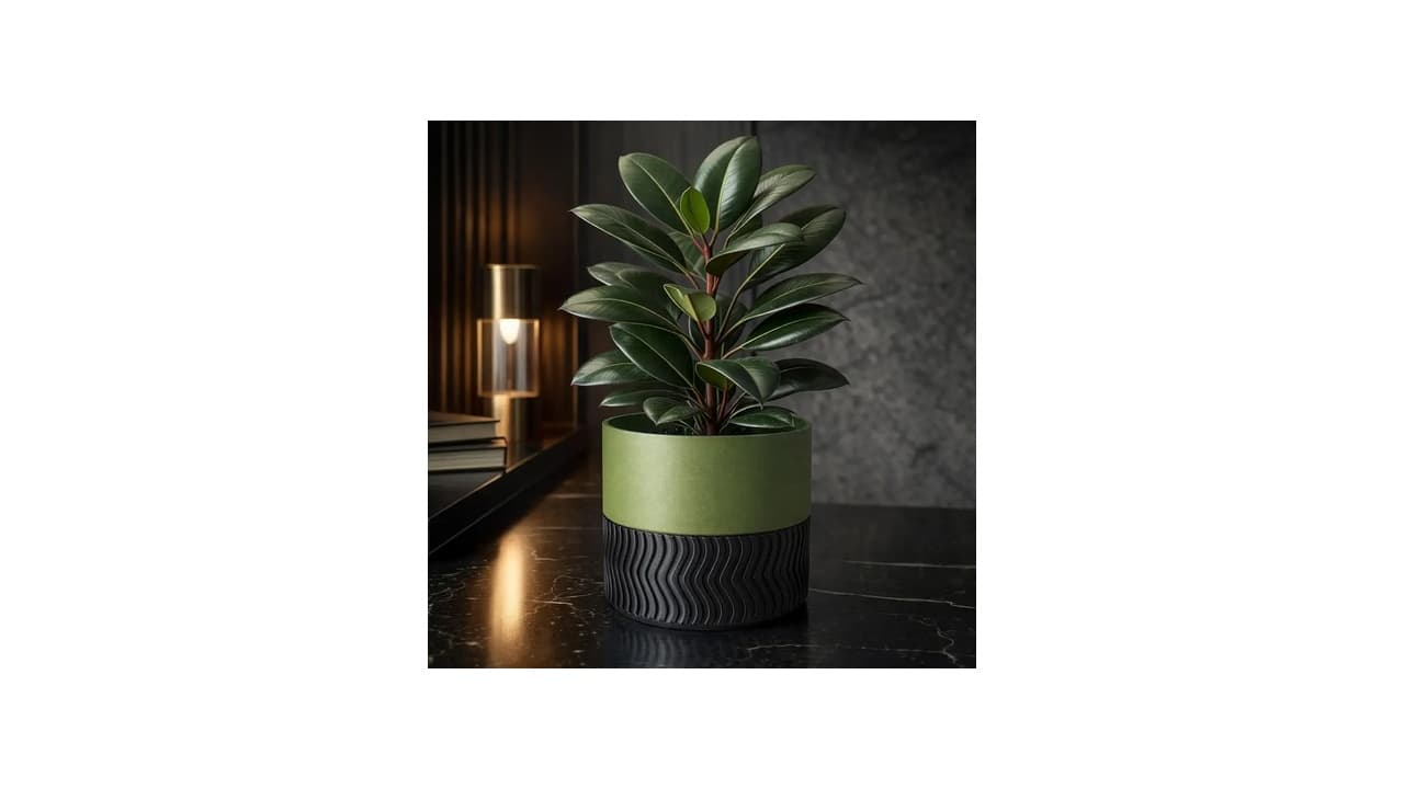 Qual o Melhor Vaso para Zamioculca? 10 Modelos que Protegem e Decoram!