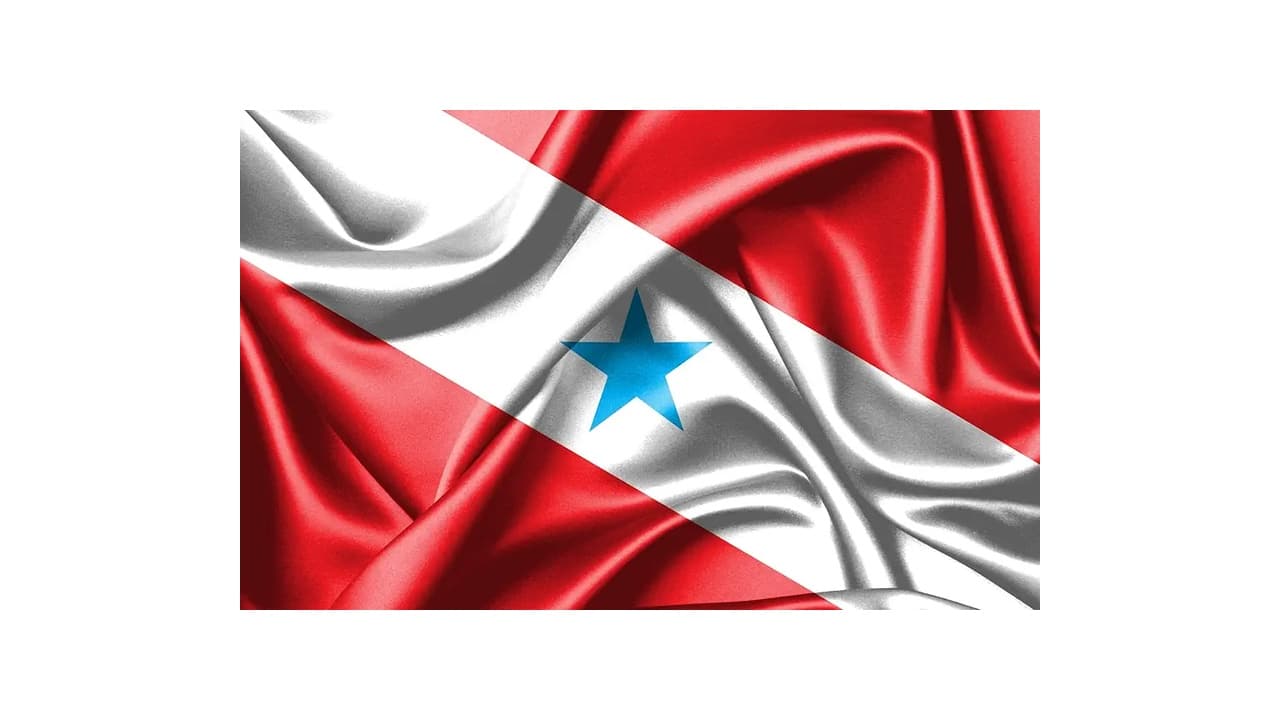 Qual a Melhor Bandeira de Estado para Mastro? Guia com 10 Opções Duráveis e Estilosas