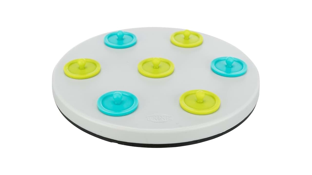 Qual o Melhor Brinquedo para Coelhos? Top 7 Opções Seguras e Divertidas