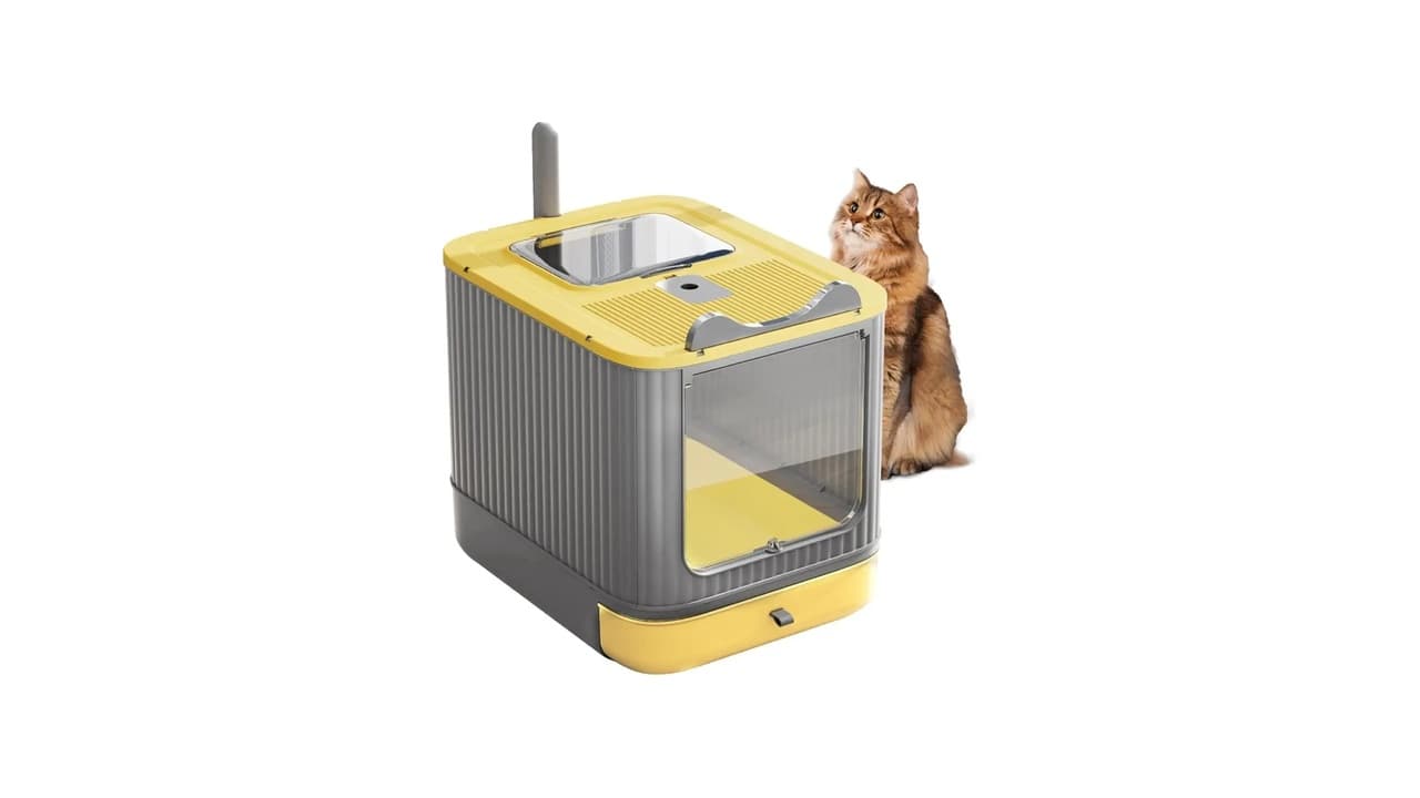 Qual Melhor Caixa de Areia Fechada para Gatos: 8 Opções com Filtro Anti-Odor