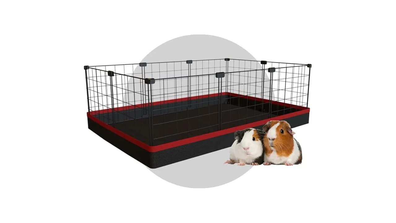 Qual o Melhor Cercadinho Modular para Porquinho da Índia? 6 Opções Seguras e Fáceis de Limpar