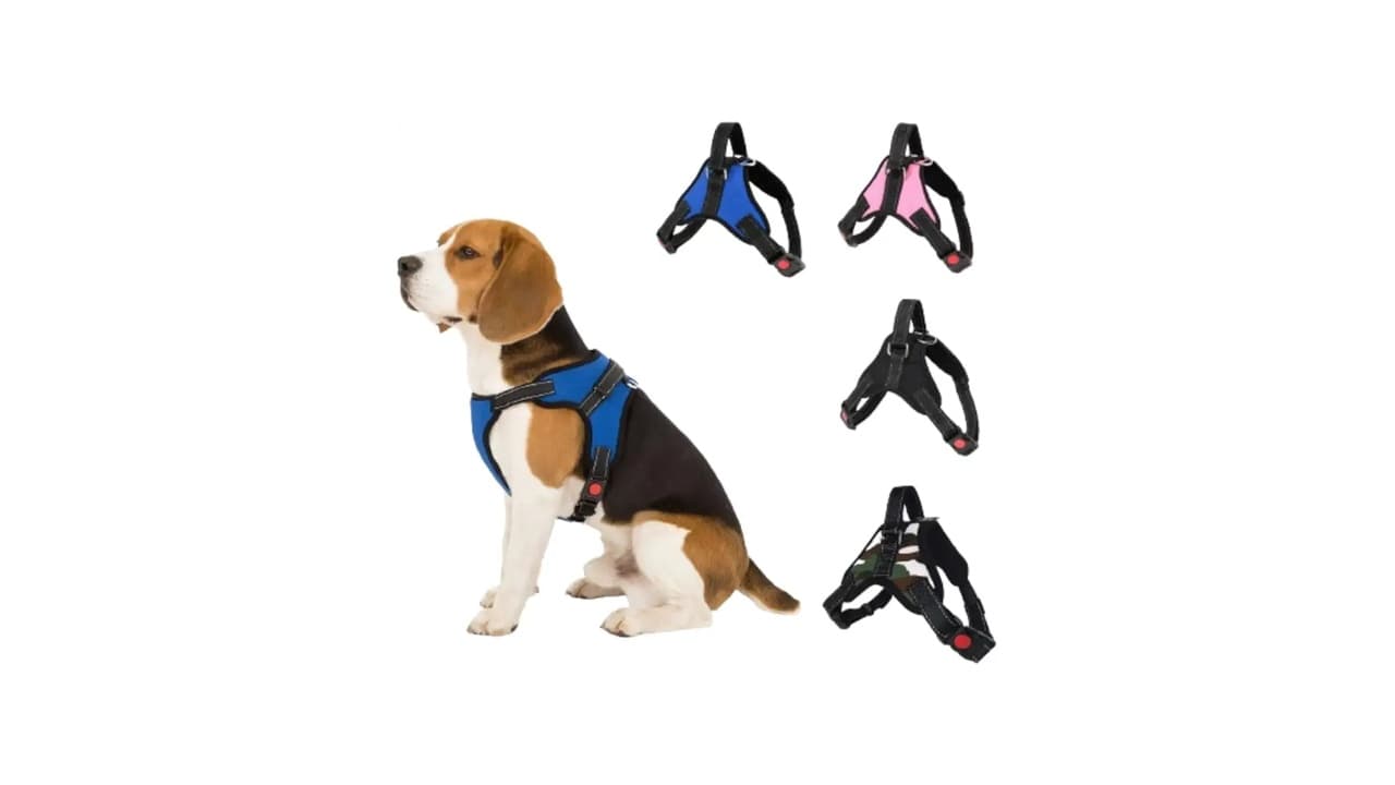 Qual a Melhor Coleira para Cachorro? 7 Modelos Testados e Seguros