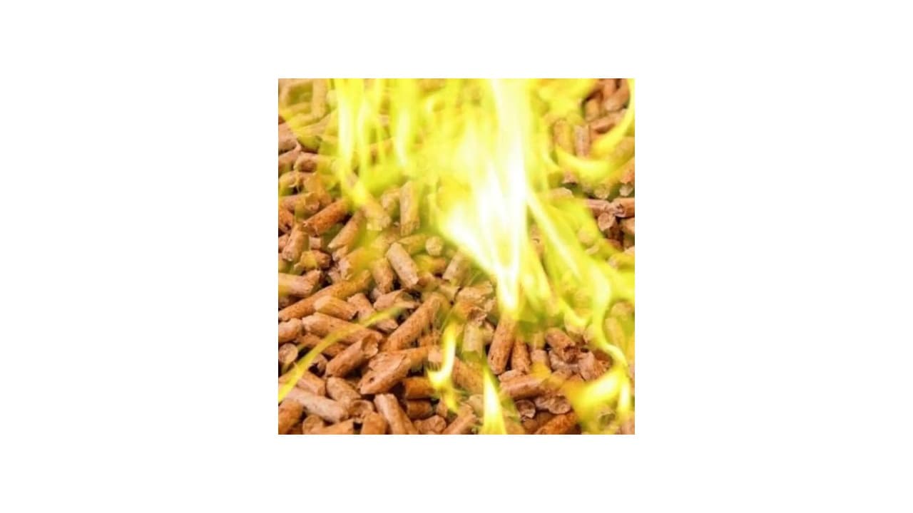 Qual Melhor Material para Forno a Lenha: 10 Opções Testadas e Aprovadas