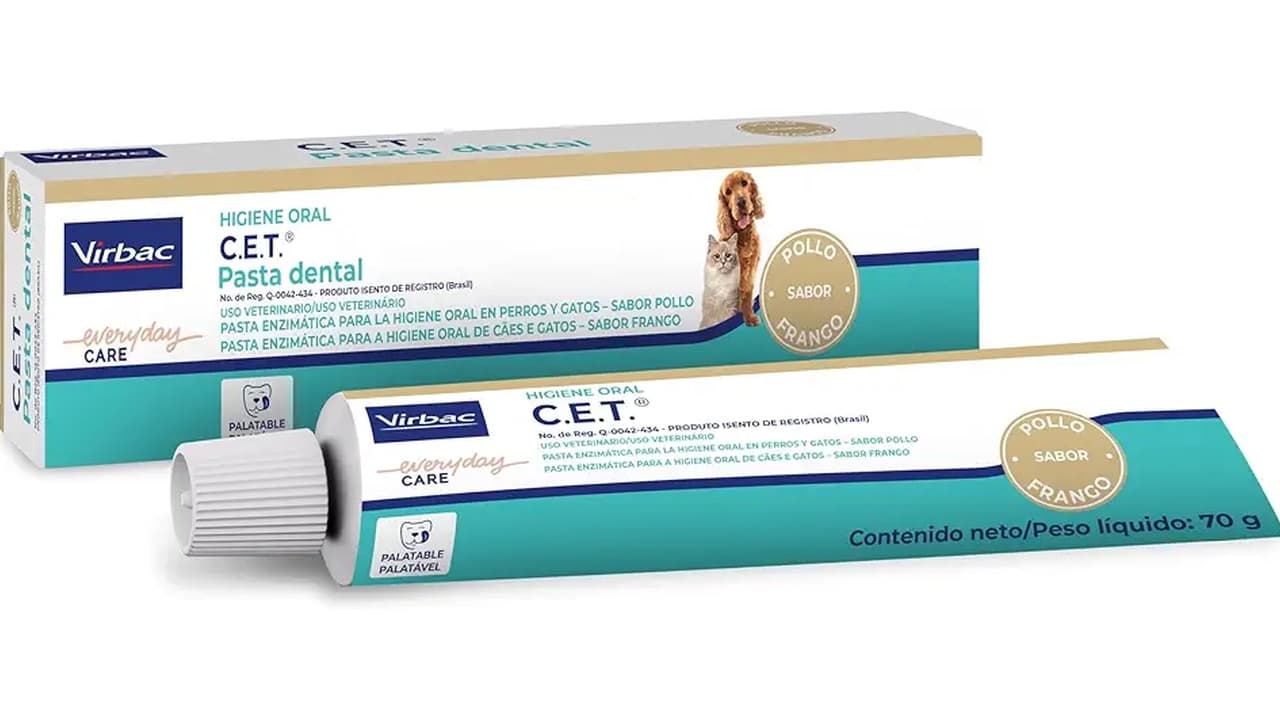 Qual a Melhor Pasta de Dente para Cães? 13 Opções Testadas e Aprovadas