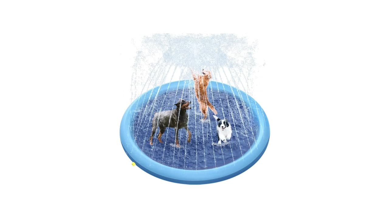 Qual Melhor Piscina para Cachorro? Veja 10 Opções Testadas e Comprovadas