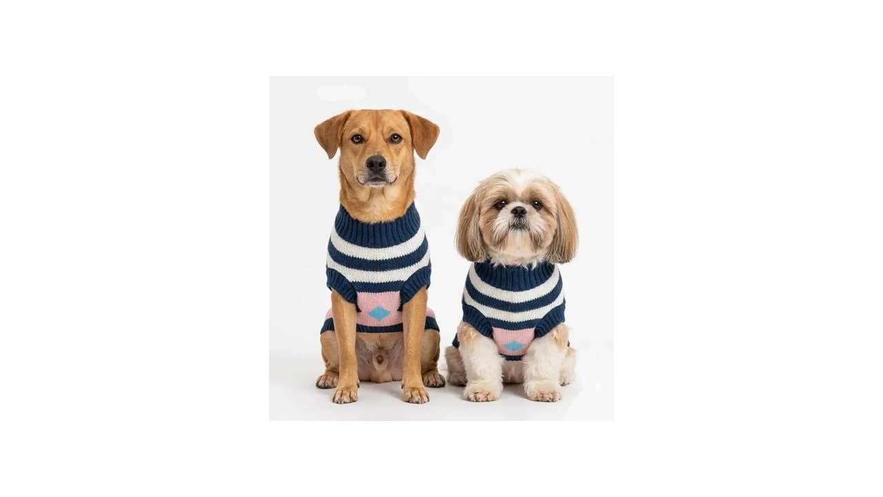 Qual a Melhor Roupa de Inverno para Cachorro? Top 10 Modelos para Cães e Gatos