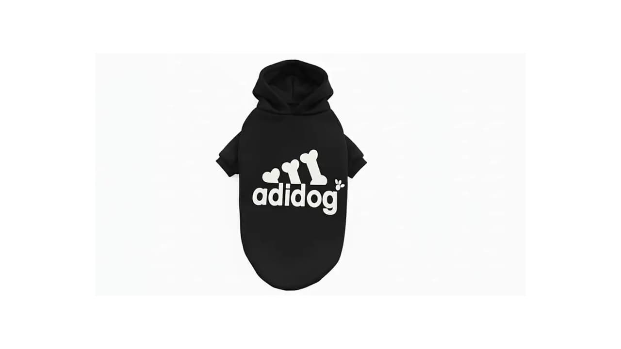 Qual Melhor Roupa de Moletom para Cachorro: Top 7 Modelos Macios e Quentinhos