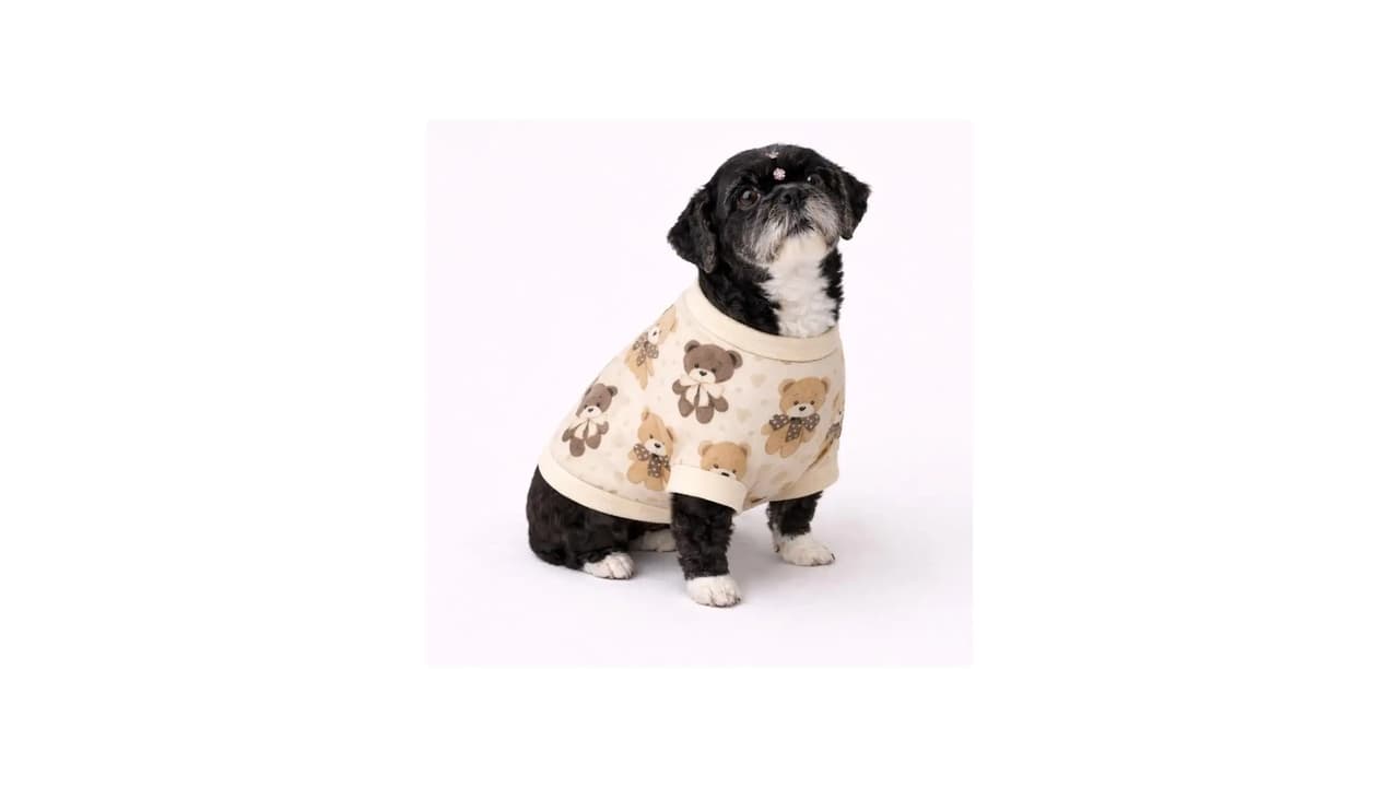 Qual a Melhor Roupa de Soft para Cachorro? Top 8 Modelos Macios e Quentes