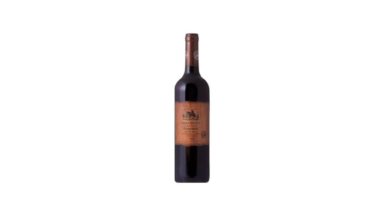 Qual o Melhor Vinho Tinto Chileno? Top 7 para Saborear em 2026