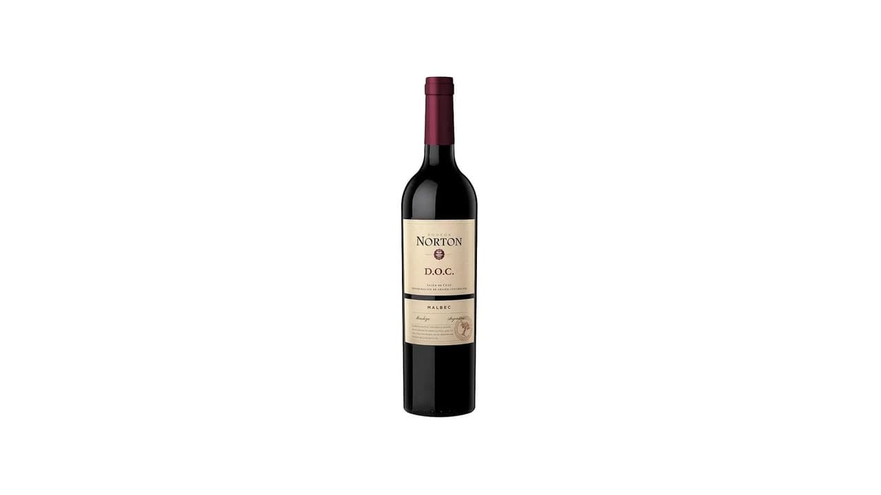Qual o Melhor Vinho Argentino? Top 10 Vinhos Malbec e Cabernet Sauvignon para Provar